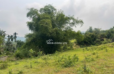 ĐẤT KIM BÔI HÒA BÌNH 2.800m² CÓ 1300M ĐẤT Ở- GẦN QL12B